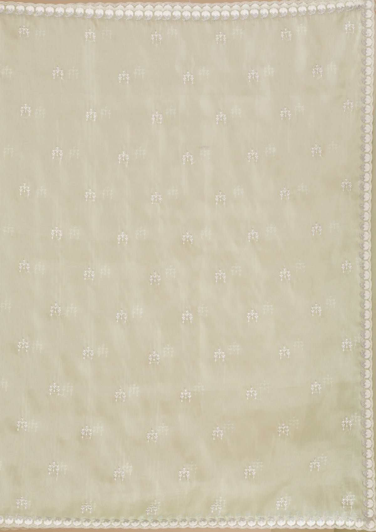 Elegant Pista Green Tissue Saree with Exquisite Zari Work - Image 8